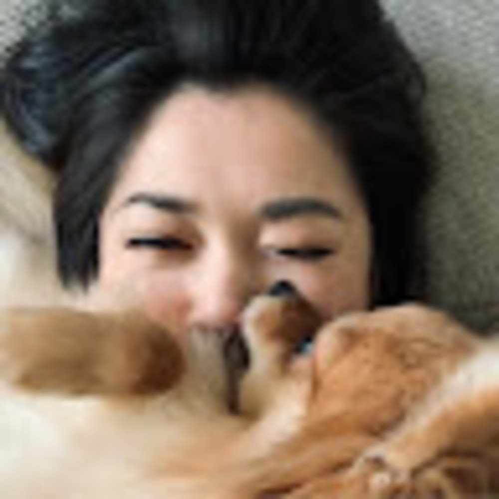 Meet your Posher, Rose